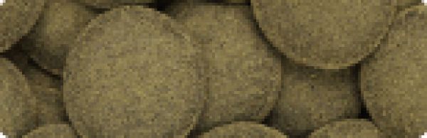 Hikari Algae Wafers 40gr.